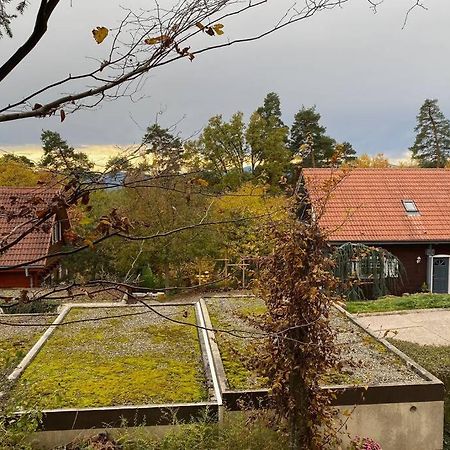 Le Galtz - Gites Marck Ammerschwihr Exterior foto