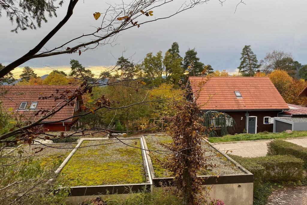 Le Galtz - Gites Marck Ammerschwihr Exterior foto